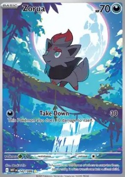Zorua